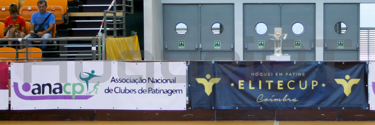 «As ideias debatidas com a ANACP têm continuidade»